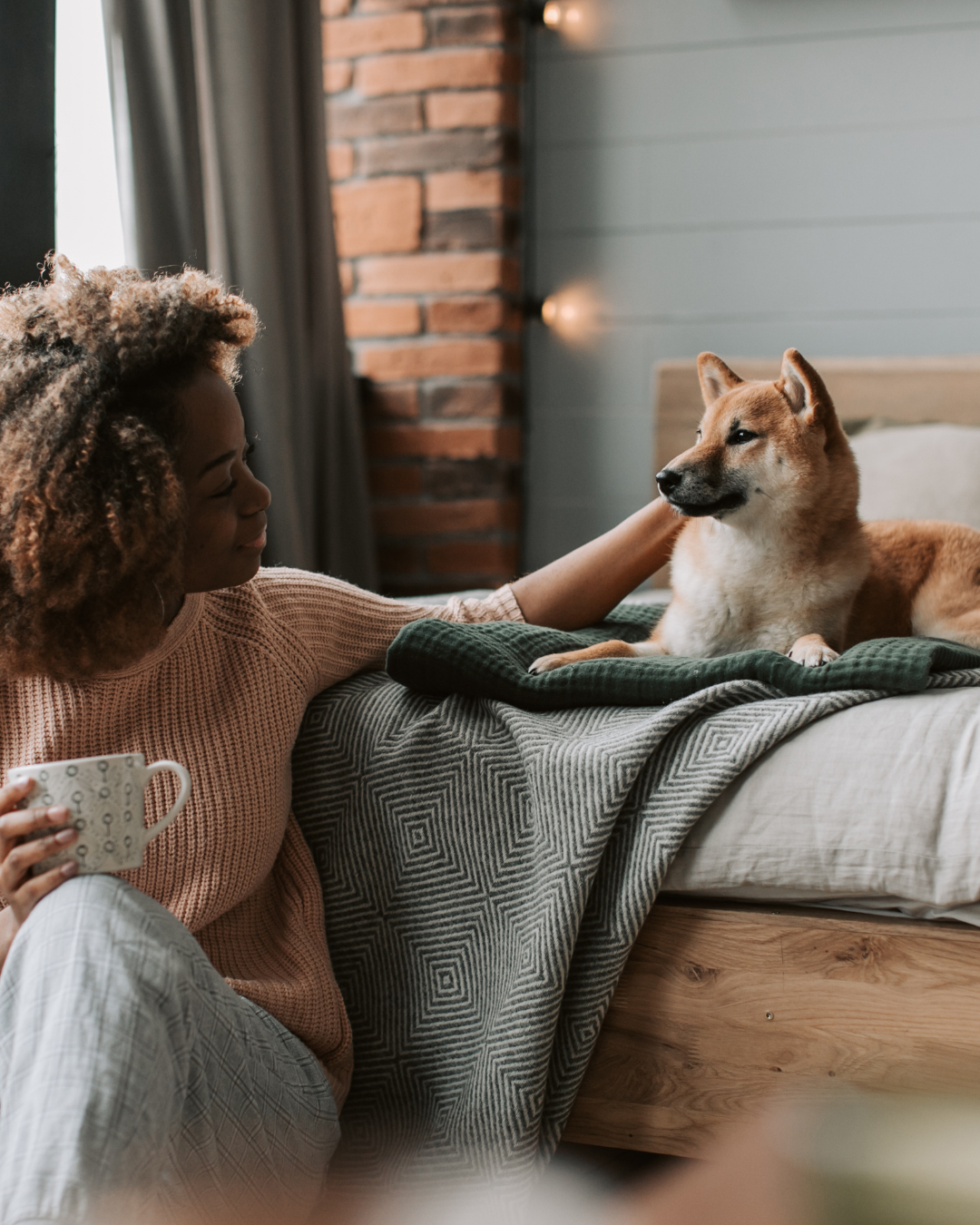 Luto Pet, uma dor muitas vezes não reconhecida